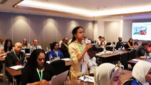 Global Healthcare 2024