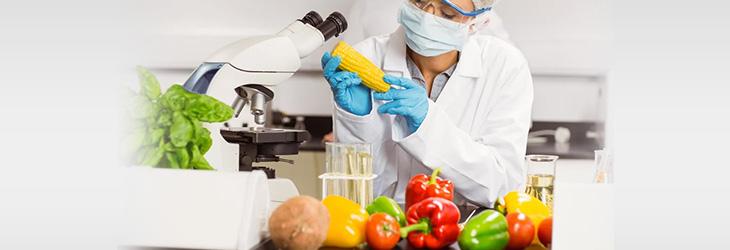 Food Science Research and Nutrition Education